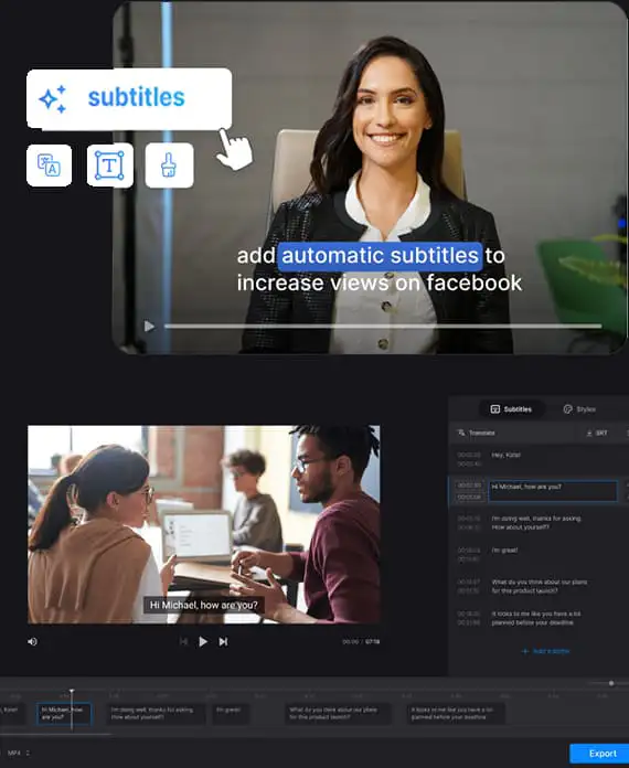 Skyway Subtitle & Caption Adding Service
